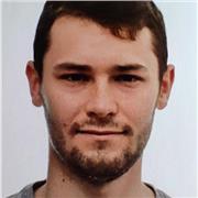 Studente laureando di ingegneria offre lezioni in ambito scientifico (anche ONLINE)